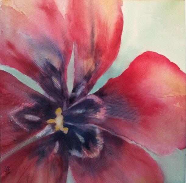 2015 Tulip Watercolour